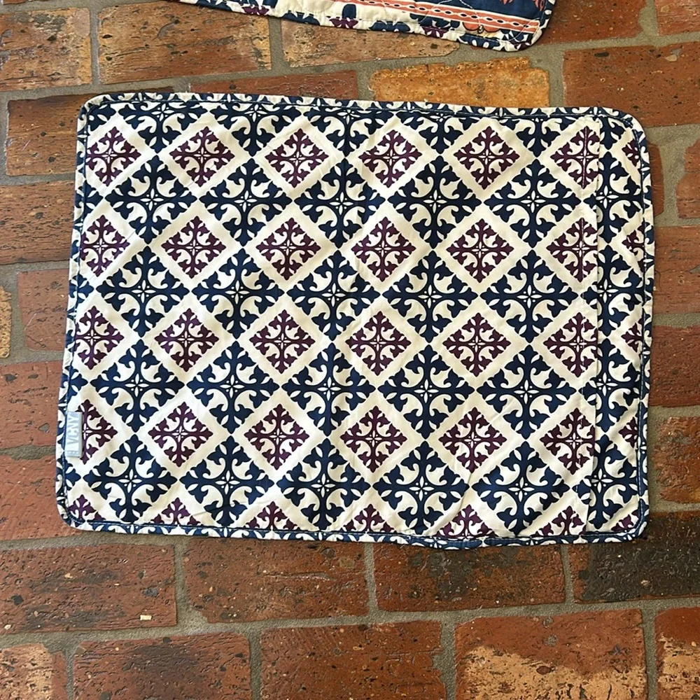 VCNY quilted standard shams (2)